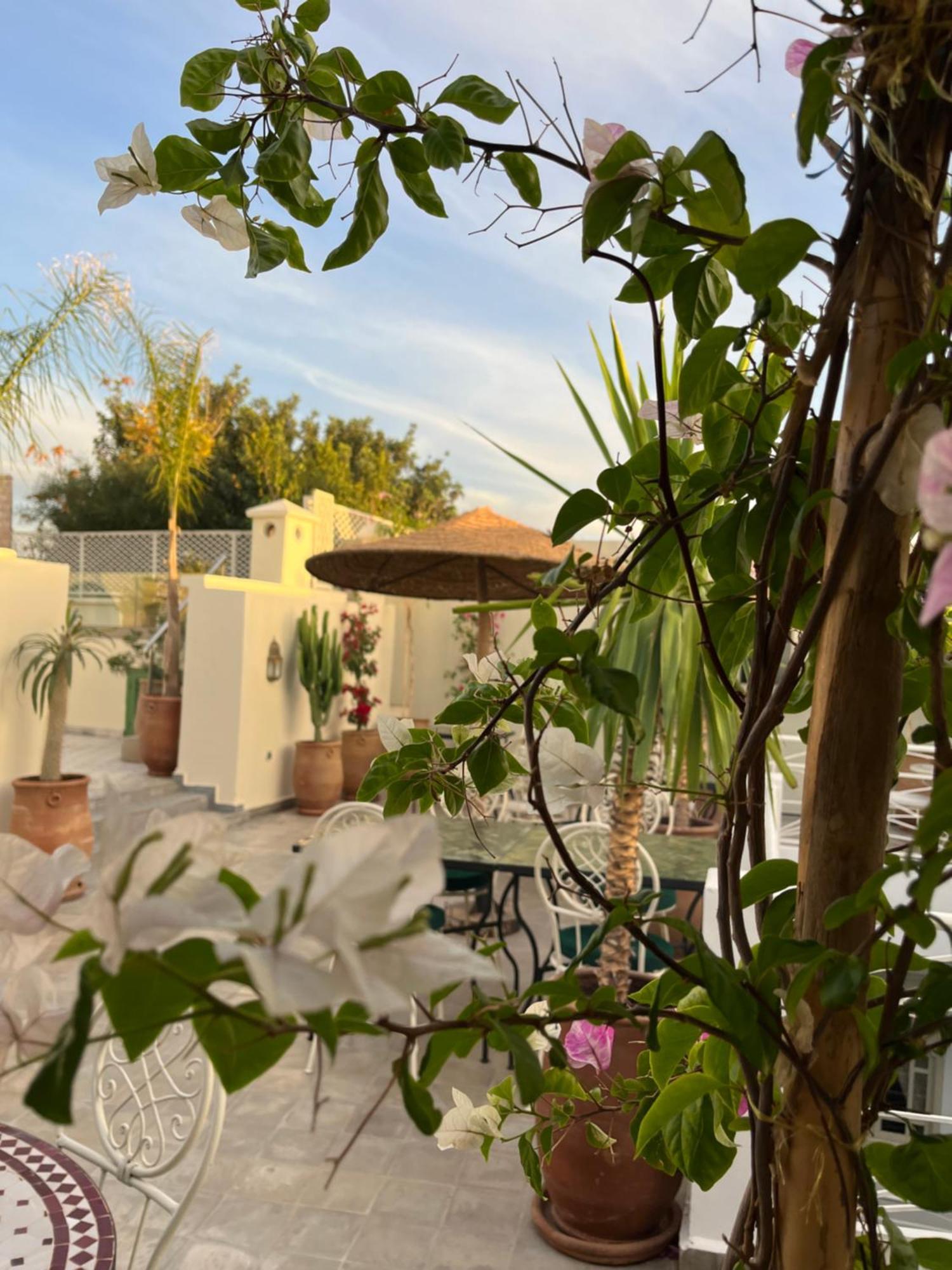 Riad Dar Blanche & Spa Marraquexe Exterior foto