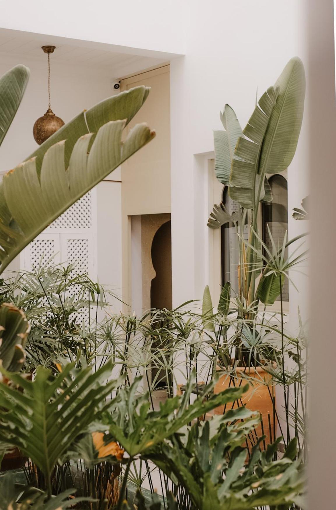 Riad Dar Blanche & Spa Marraquexe Exterior foto